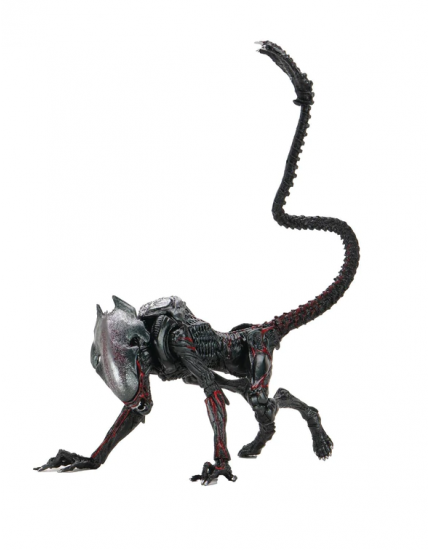 Aliens akčná figúrka Night Cougar Alien (Kenner Tribute) 23 cm obrázok 1