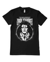 David Bowie Ziggy Stardust (T-Shirt)