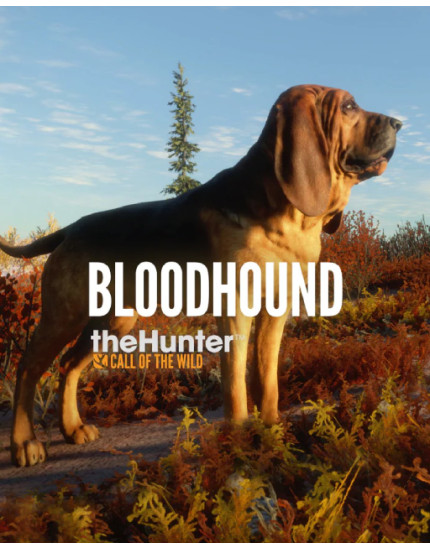 theHunter - Call of the Wild - Bloodhound (PC) (digitálny produkt) obrázok 1